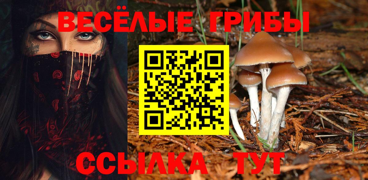Галлюциногенные грибы ЛСД Курган